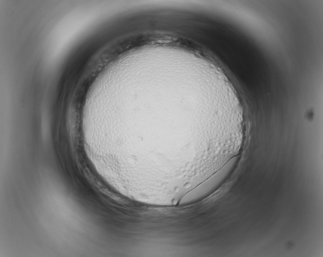 X0000115621438200912221219