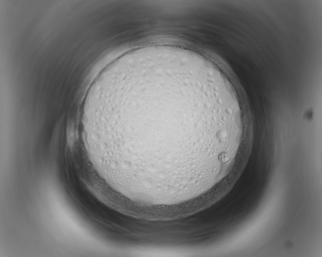 X0000115621439200912221219