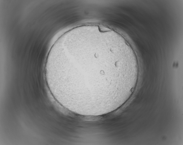 X0000115621440200912221219