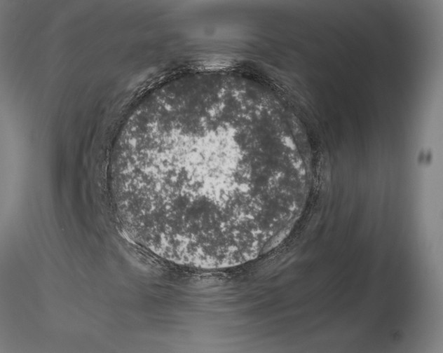 X0000115621441200912221218