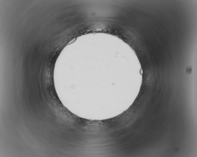 X0000115621442200912221218