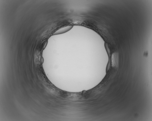 X0000115621443200912221218