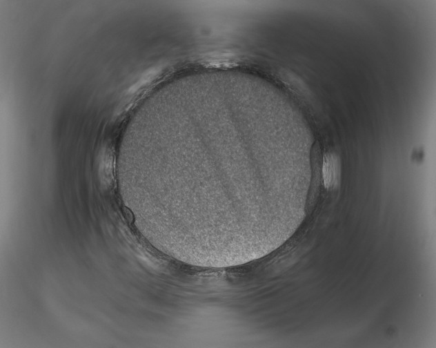 X0000115621444200912221218