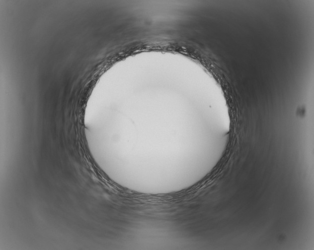 X0000115621445200912221218