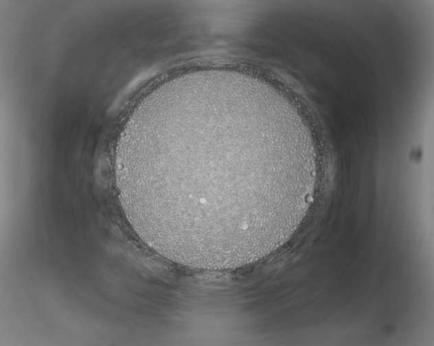 X0000115621446200912221218