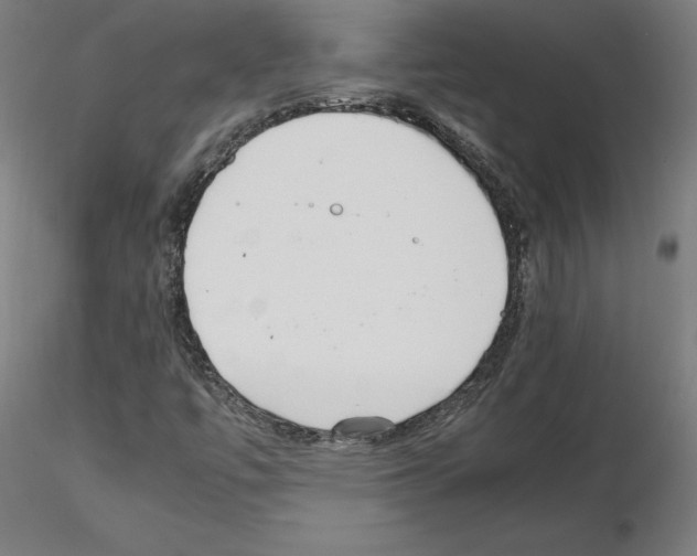 X0000115621447200912221218