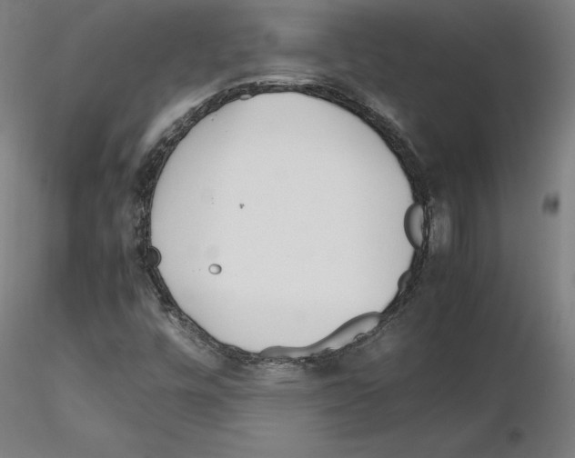 X0000115621448200912221218