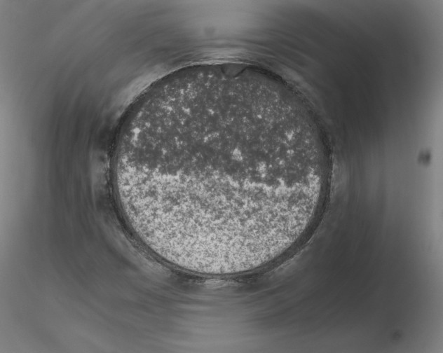 X0000115621449200912221218