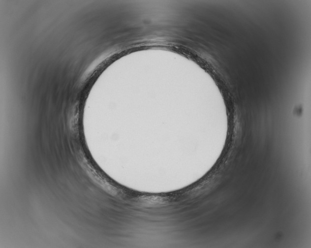 X0000115621450200912221218