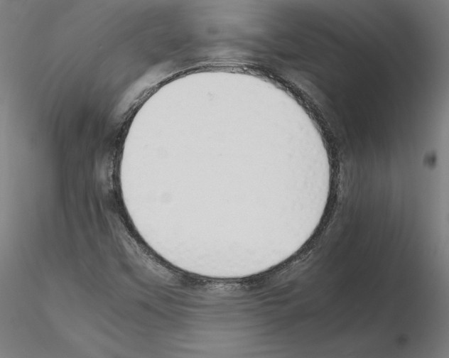 X0000115621451200912221218