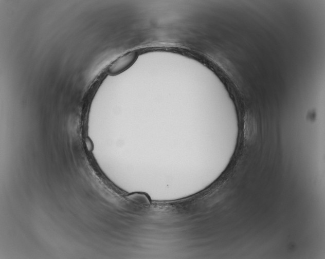 X0000115621452200912221218