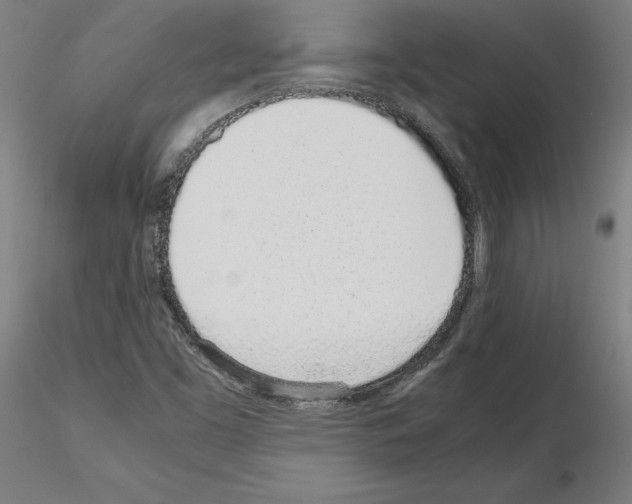 X0000115621453200912221218