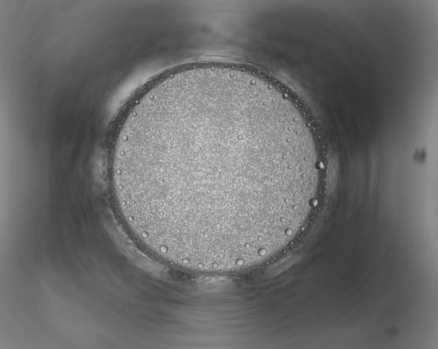 X0000115621454200912221218