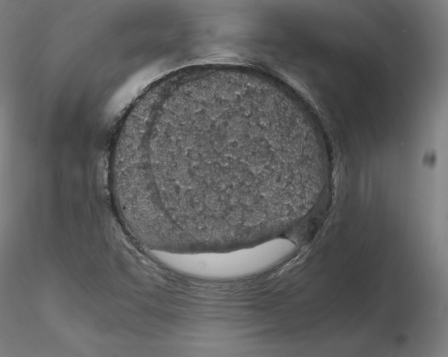 X0000115621455200912221218