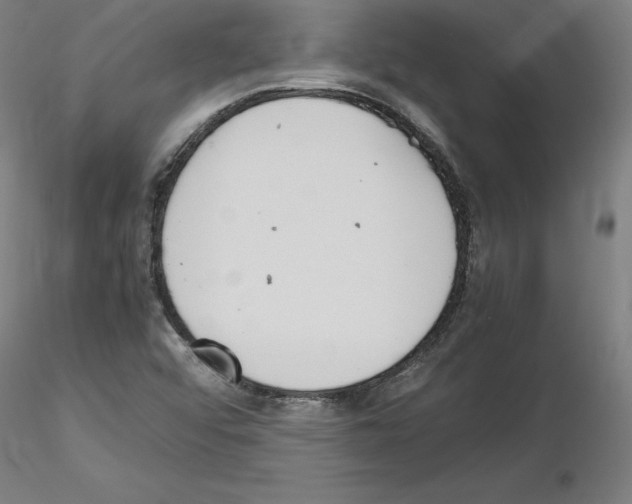 X0000115621456200912221218