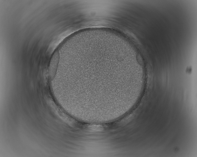 X0000115621457200912221218