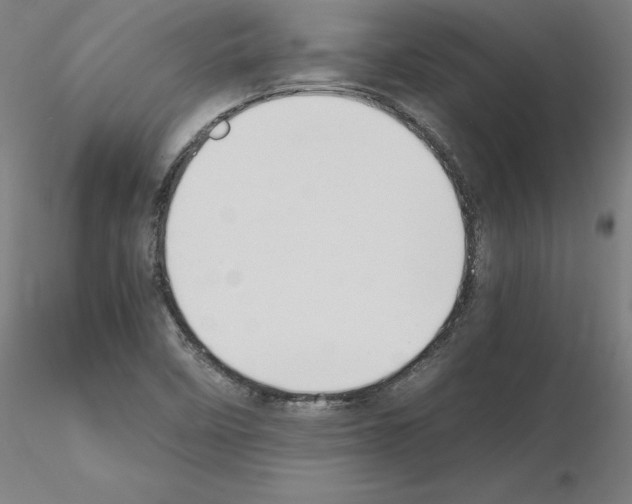 X0000115621458200912221218
