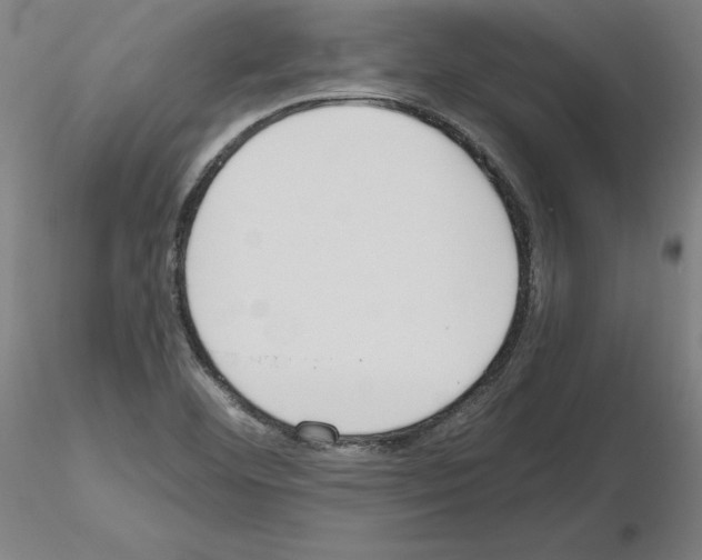 X0000115621460200912221218