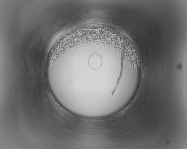 X0000115621461200912221218