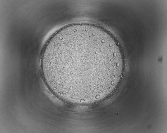X0000115621462200912221218