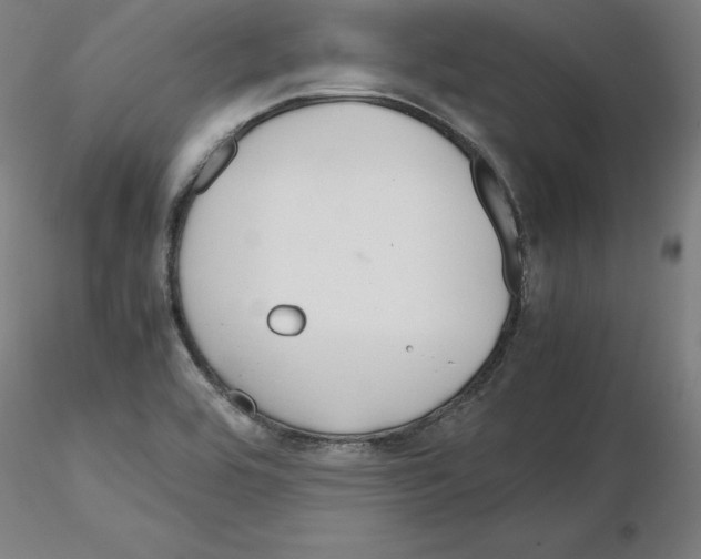 X0000115621464200912221218