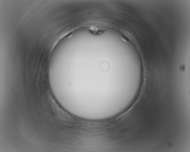 X0000115621465200912221218