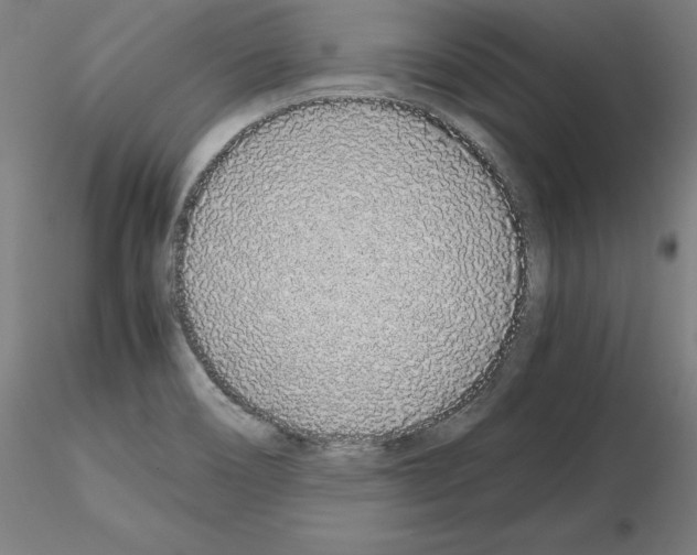 X0000115621466200912221218