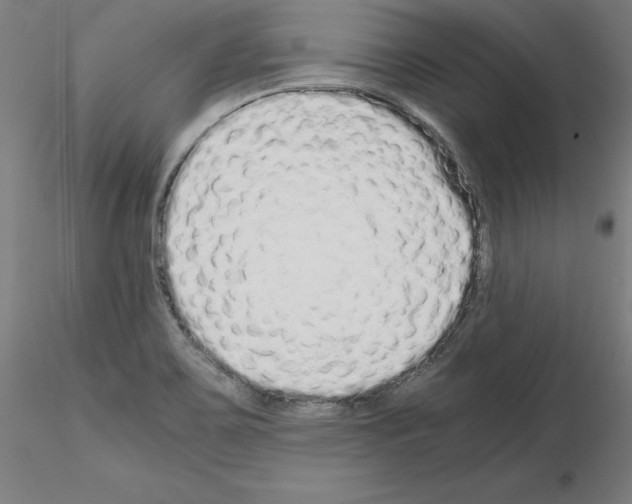 X0000115621467200912221218
