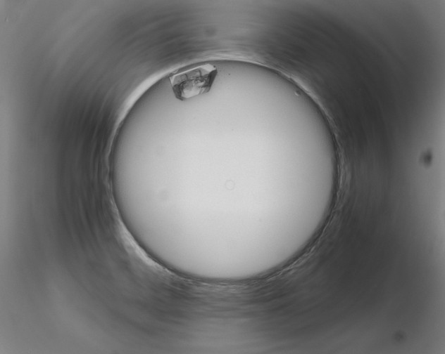 X0000115621468200912221218