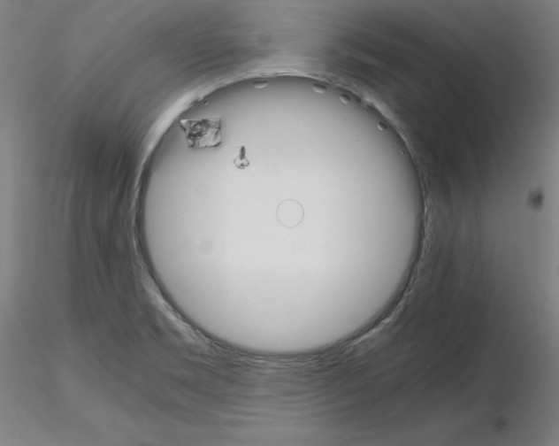 X0000115621469200912221218