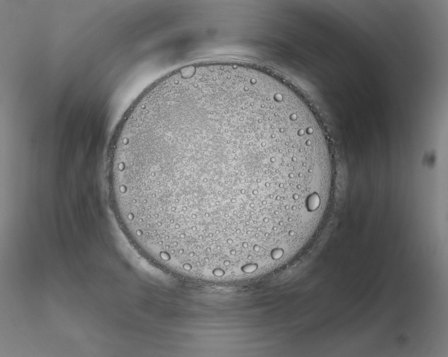 X0000115621470200912221218