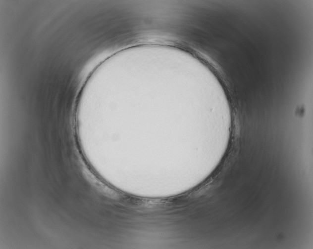 X0000115621471200912221218