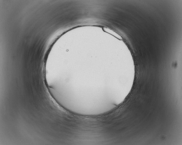 X0000115621472200912221218