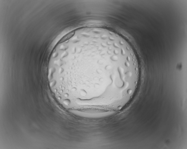 X0000115621473200912221218