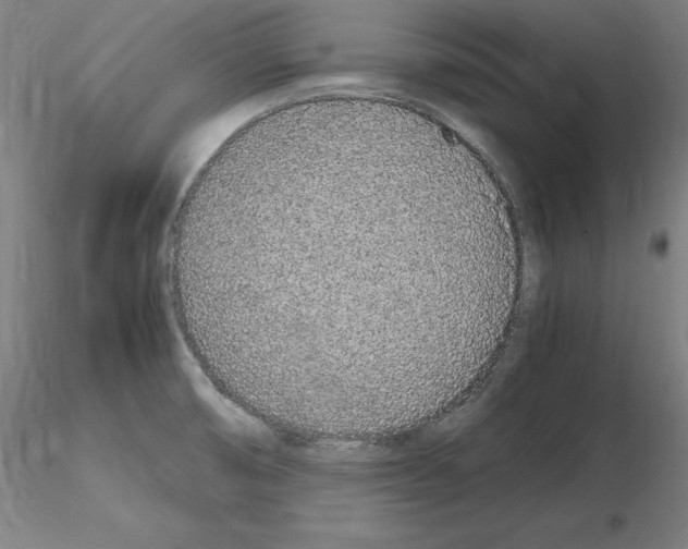 X0000115621474200912221218