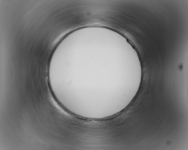 X0000115621476200912221218