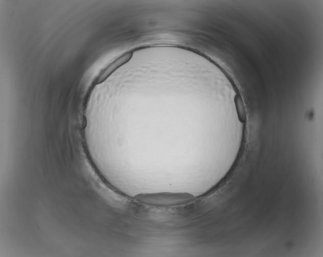X0000115621477200912221218