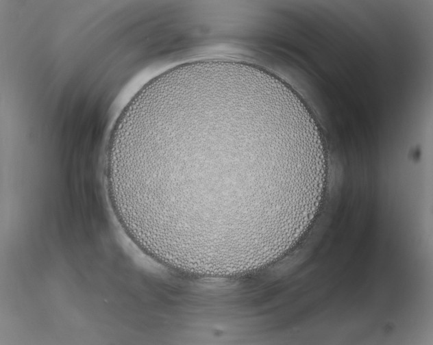 X0000115621478200912221218
