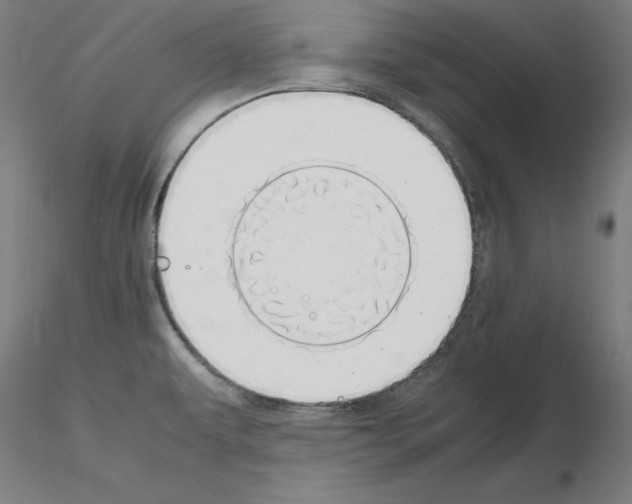 X0000115621479200912221218