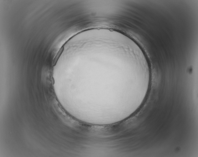 X0000115621481200912221218