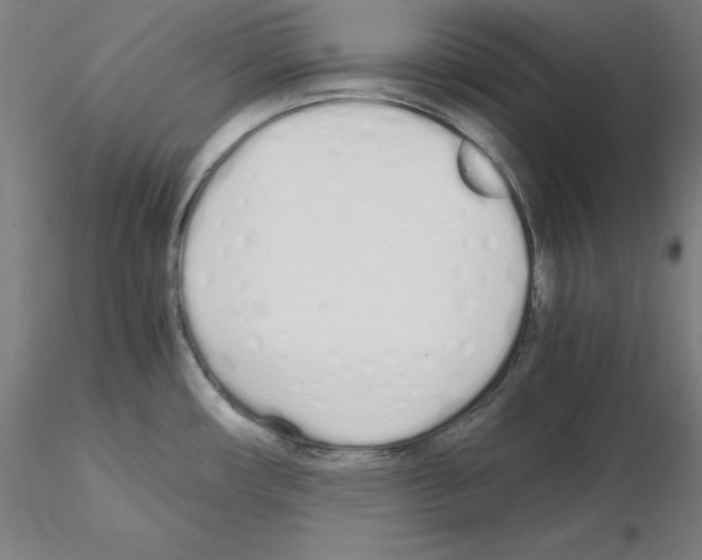 X0000115621482200912221218