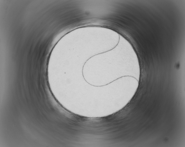 X0000115621483200912221218