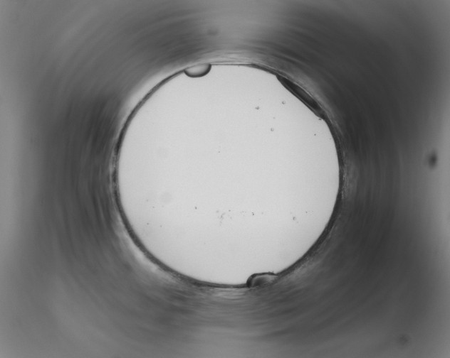 X0000115621484200912221218