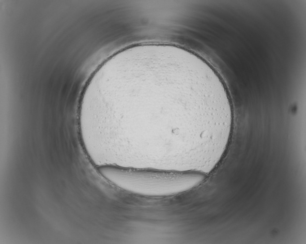 X0000115621485200912221218