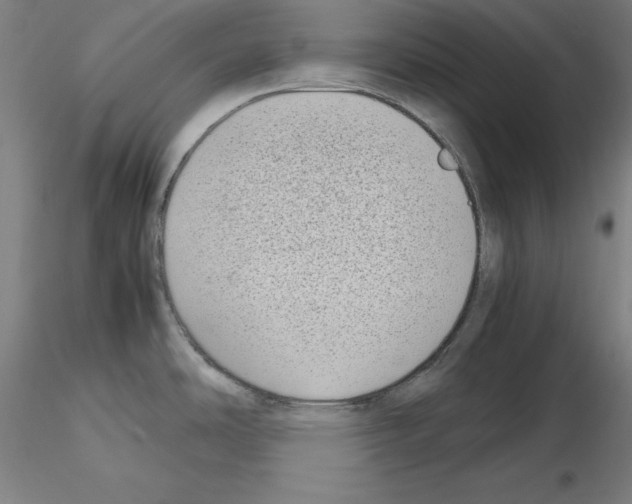 X0000115621486200912221218