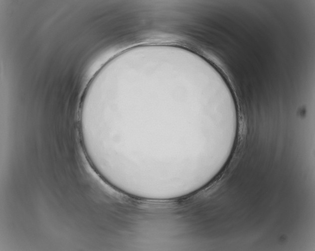 X0000115621487200912221218