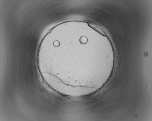 X0000115621488200912221218