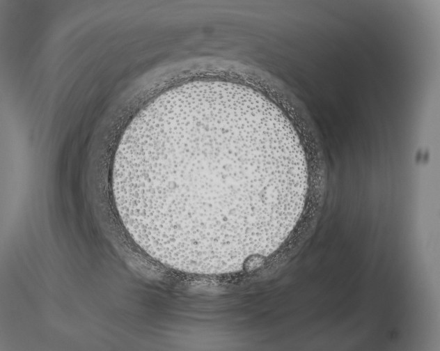 X0000115621489200912221217
