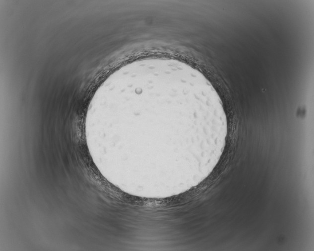 X0000115621490200912221217
