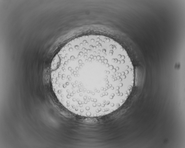 X0000115621491200912221217